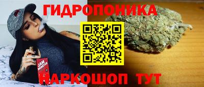 МДПВ Братск