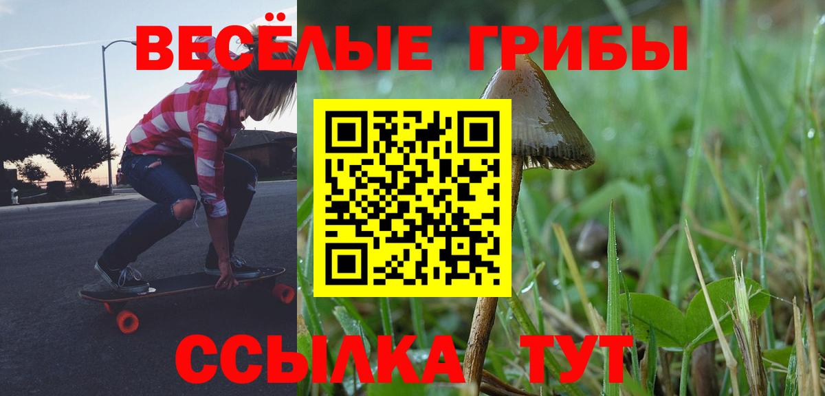 Галлюциногенные грибы Psilocybe Видное