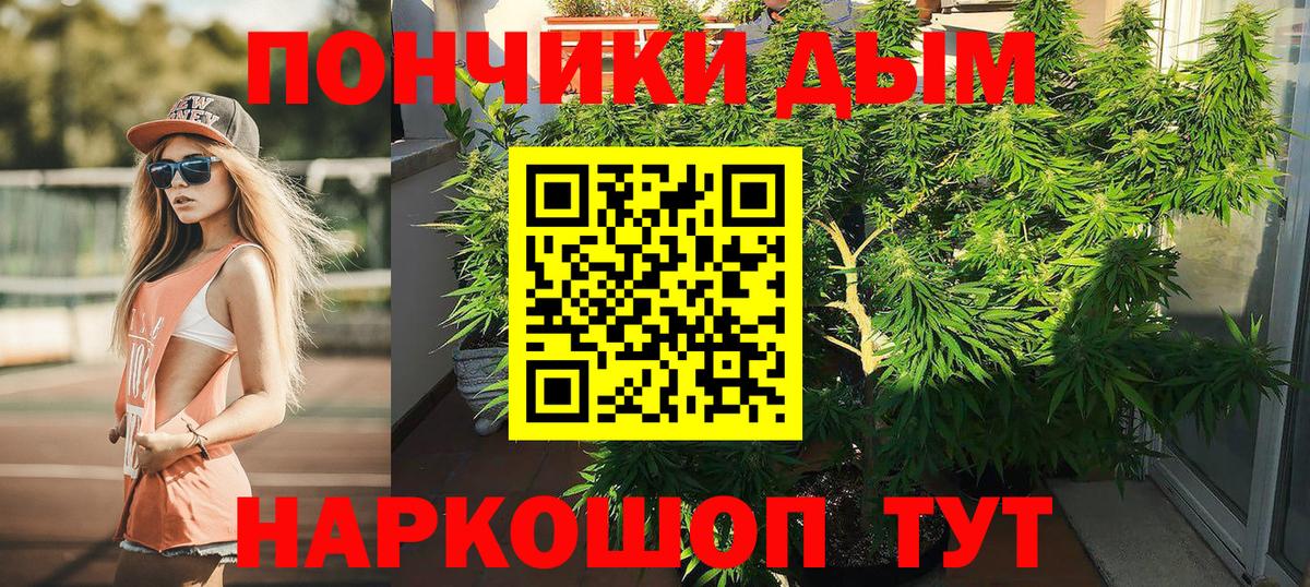 Бошки марихуана White Widow  Марихуана конопля  Марихуана Ganja  Канабис ГИДРОПОН  Вход с VPN  Видное 